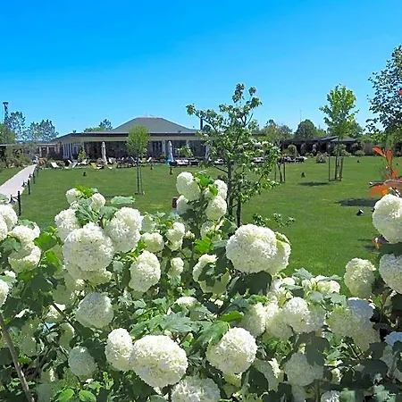 Riva's Club * اسطنبول